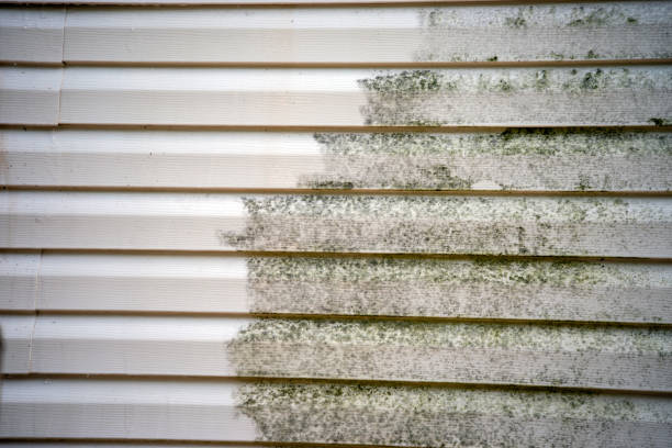 Best Steel Siding Installation  in Sidney, MT