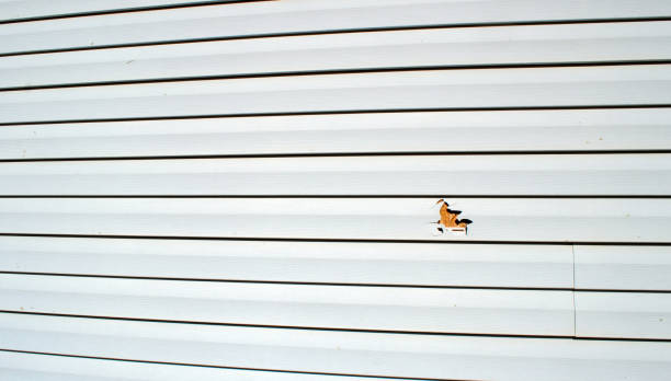 Best Brick Veneer Siding  in Sidney, MT